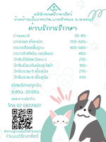ขอเชิญมารับบริการตรวจสุขภาพดูแลสุนัขและแมวของท่านค่ะ