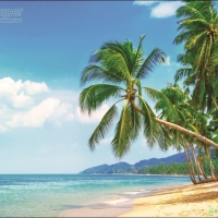 ภาพวิวสำเร็จรูป ภาพชายหาดเขตร้อน