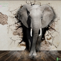 ภาพวิวสำเร็จรูป ภาพช้างทะลุกำแพง 3D