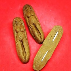 นารีผลสีสุก หลวงปู่ชาติมนต์ดำ สุวะโร สำนักปฎิบัติธรรมโคกสูง