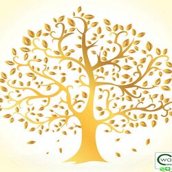 วอลเปเปอร์ลายต้นโพธิ์ THAI-231