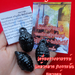 หมากทุย หลวงพ่อยศ อกิญจโน วัดป่าบ้านสังข์จ.ร้อยเอ็ด