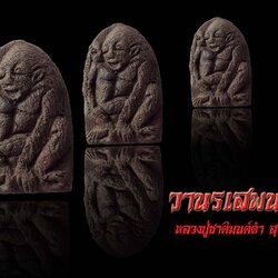 วานรเสพนาง หลวงปู่ชาติมนต์ดำ สุวะโร ที่ปฏิบัติธรรมโคกสูง จังหวัดร้อยเอ็ด