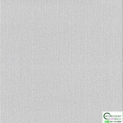 วอลเปเปอร์สีพื้น เทาอ่อนสว่าง No.AW70-21