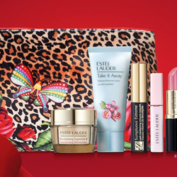 Estee Lauder Bloomingdales Gift Set