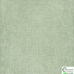 วอลเปเปอร์สีพื้น