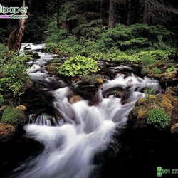 ภาพวิวธรรมชาติภาพน้ำตก