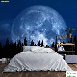 วอลเปเปอร์สั่งพิมพ์ลายอวกาศ PLA-22