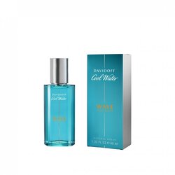 Davidoff Cool Water Wave EDT 40 ml.