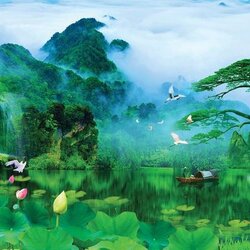 วอลเปเปอร์ปริ้นต์ติ้งลายน้ำตกมงคล JWT-12