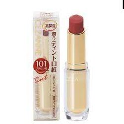 Cezanne Lasting Gloss Lip 3.2 g. #101 Brown