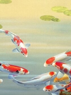 ภาพวิวภาพปลาคาร์ฟ