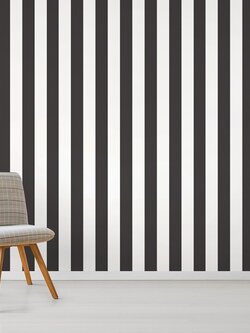 วอลเปเปอร์ลายทาง สีขาว-ดำ