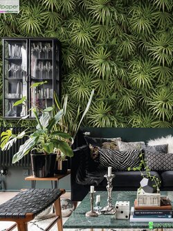 วอลเปเปอร์หน้ากว้าง 1 เมตร ลายใบไม้ทรอปปิคอล