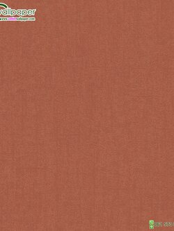 วอลเปเปอร์ติดผนังลายพื้นเรียบ สีส้ม