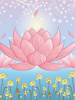 วอลเปเปอร์สั่งพิมพ์ภาพดอกบัว