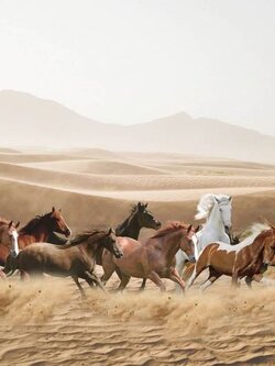 วอลเปเปอร์สั่งพิมพ์ลายม้ามงคล JHC-3