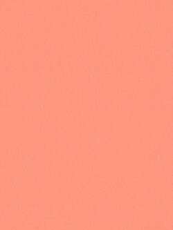 วอลเปเปอร์ติดผนังลายเรียบสีส้ม