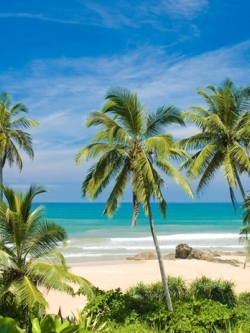 ภาพวิวสั่งพิมพ์ภาพชายหาดสวย