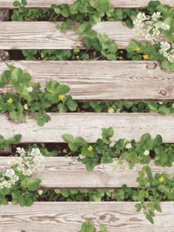 Wallpaper ลายไม้รั้วไม้สีขาว