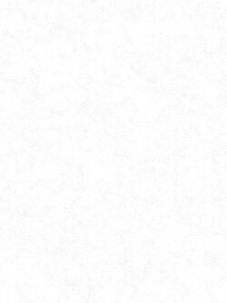 วอลเปเปอร์ติดผนังลายปูนเปลือยสีขาวอมเทา หน้ากว้าง 1 เมตร