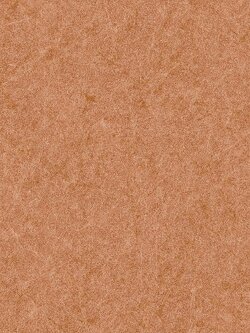 วอลเปเปอร์ลายหนังสีส้มอิฐ