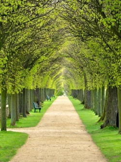 วอลเปเปอร์ภาพวิวสั่งพิมพ์ภาพฤดูใบไม้ผลิ