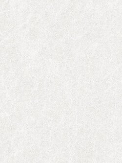 วอลเปเปอร์ลายหนังสีเทาขาว