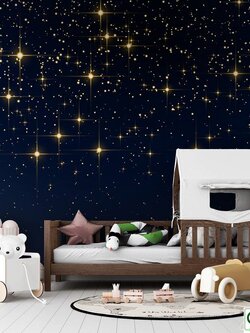 วอลเปเปอร์สั่งพิมพ์ลายอวกาศ PLA-11