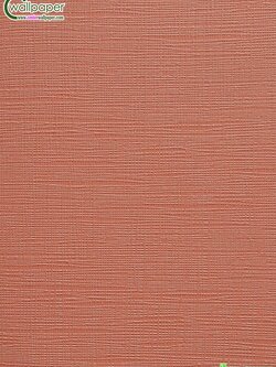 วอลเปเปอร์ติดผนังลายตาข่ายสีส้มแดง