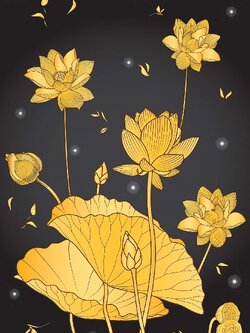 วอลเปเปอร์สั่งพิมพ์ภาพดอกบัว