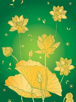 วอลเปเปอร์สั่งพิมพ์ภาพดอกบัว