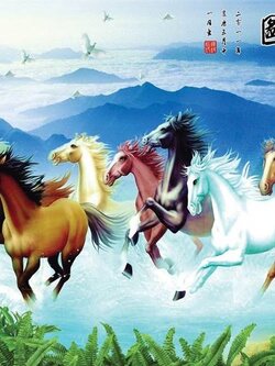 วอลเปเปอร์สั่งพิมพ์ลายม้ามงคล JHC-6