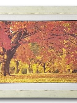 กรอบรูป ภาพใบไม้เหลืองส้ม ฤดูใบไม้ผลิ