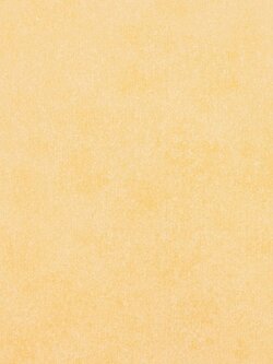 วอลเปเปอร์ติดผนังสีส้มอ่อน