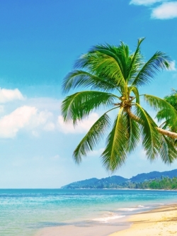 ภาพวิวสั่งพิมพ์ภาพหาดทรายสวย