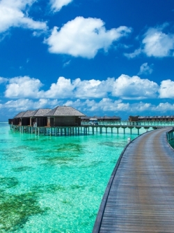 ภาพวิวสั่งพิมพ์ภาพบังกาโลเกาะมัลดีฟส์