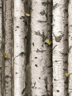 วอลเปเปอร์ติดผนังลายต้นไม้สีขาว