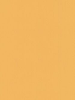 วอลเปเปอร์ติดผนังสีส้มอ่อน