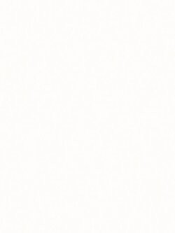 วอลเปเปอร์ติดผนังสีขาว