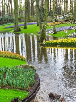 วอลเปเปอร์ภาพวิวสั่งพิมพ์ภาพสวนสาธารณะ