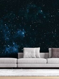 วอลเปเปอร์สั่งพิมพ์ลายอวกาศ PLA-1