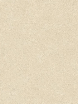 วอลเปเปอร์ลายปูนเปลือย ปูนขัดสีเนื้อ