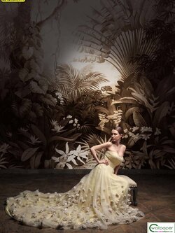 วอลเปเปอร์พิมพ์ลายภาพสวนป่า Premium PM-084-G