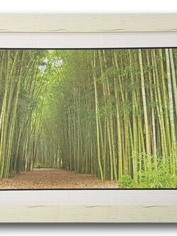 กรอบรูป ภาพทางเดินป่าไผ่