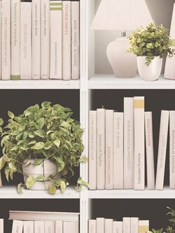 วอลเปเปอร์ติดผนัง ชั้นหนังสือสีเนื้อ