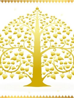 ต้นโพธิ์สีขาว ทอง