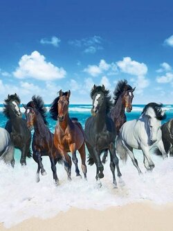 วอลเปเปอร์สั่งพิมพ์ลายม้ามงคล JHC-16