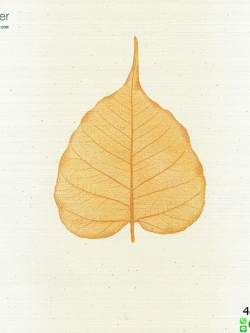 วอลเปเปอร์ติดผนังลายไทย ลายใบโพธิ์พื้นขาว