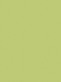 วอลเปเปอร์หน้ากว้าง 1 เมตร ลายเรียบสีเขียว